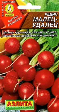Seed packet of radish UDALETS with image of fresh root vegetables