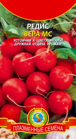 Пакет семян редиса ВЕРА МС с изображением свежих корнеплодов
