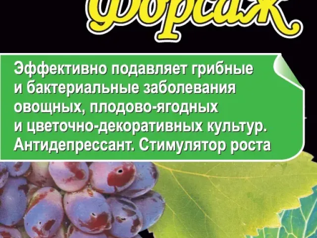 Форсайт