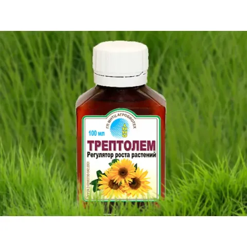 Bottle of plant growth regulator «Treptolem+V»