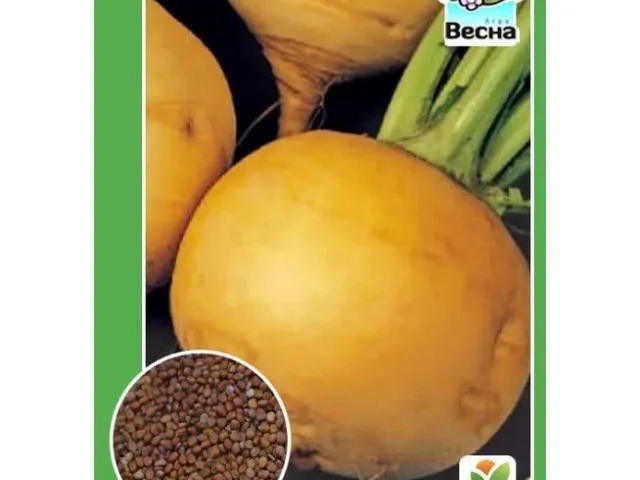 Венера