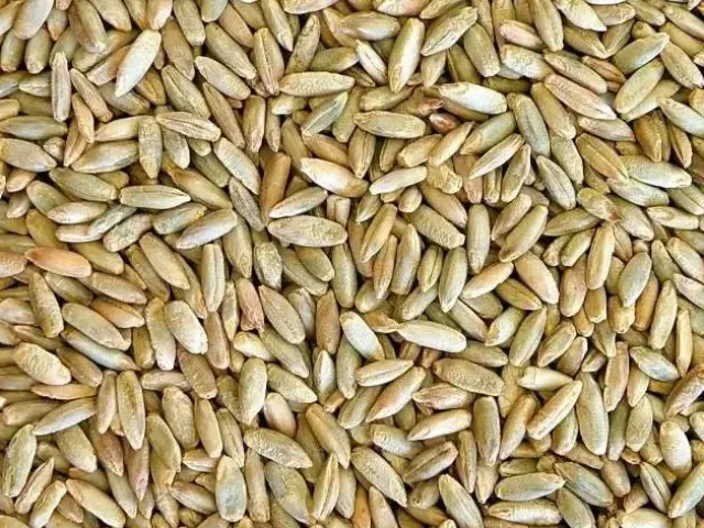 Киевская 86