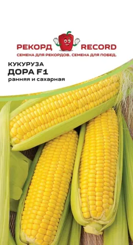 Пакет насіння цукрової кукурудзи Дора F1