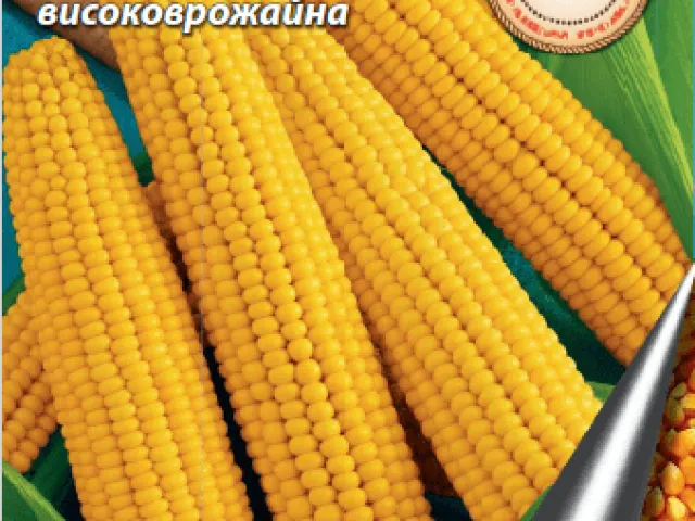 Гектор