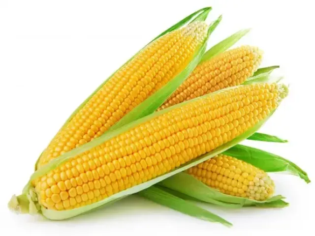 Ракурс