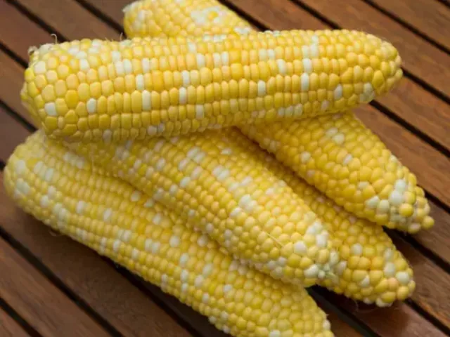 Ракель