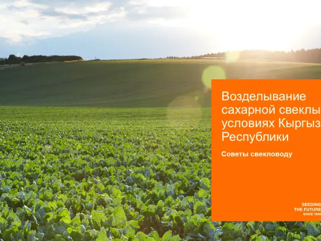 711 Т_13