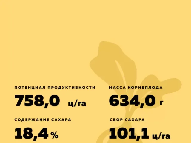 БТС 3560