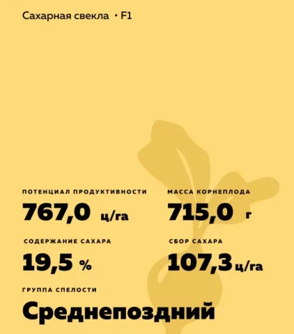 Infographic with characteristics of the sugar beet hybrid FD Flame