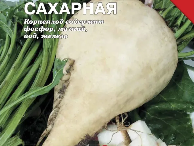 Япола