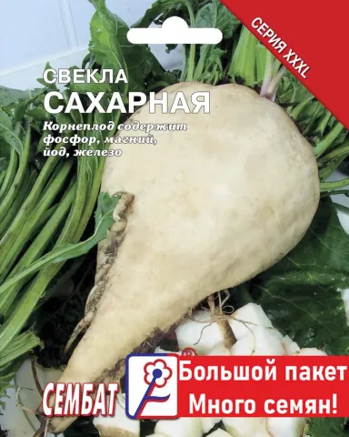 Упаковка семян сахарной свеклы «Япола»
