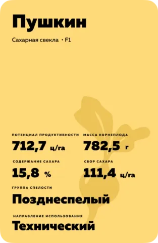 Seed packet of sugar beet Pushkin - PUSCHKIN