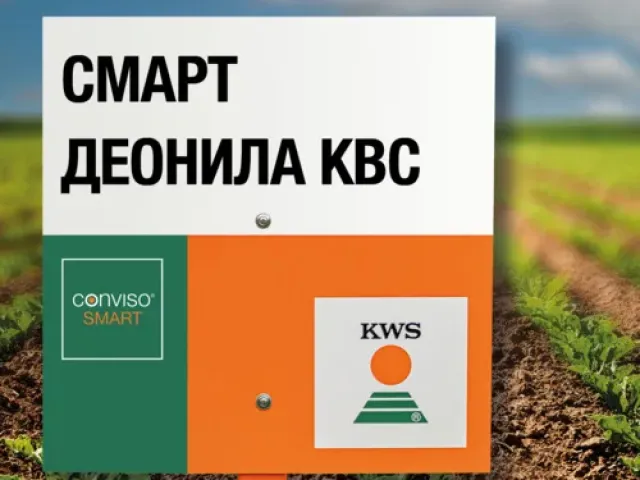 Смарт Деонила КВС