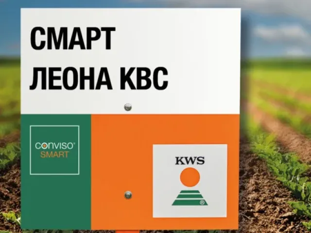Смарт Перла КВС