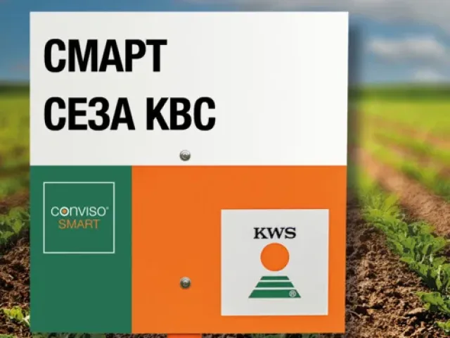 SMART ROZINKA KWS