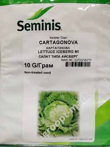 Пакет семян салата сорта Картагонова от Seminis