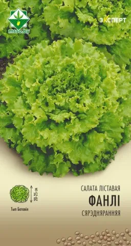 Seed packet of lettuce variety Fanil - Expert
