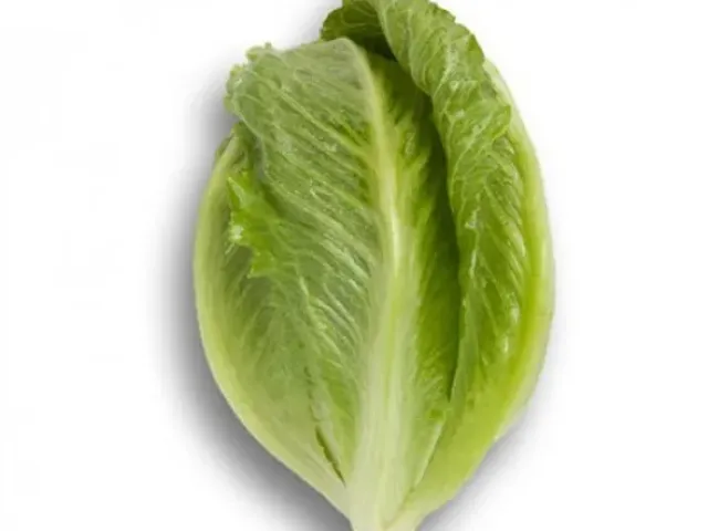 Crunchita