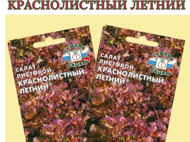 RED-LEAF SUMMER