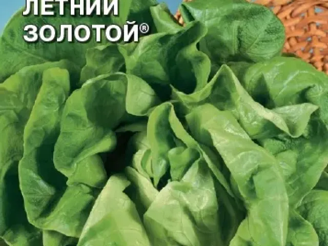 Летний Золотой