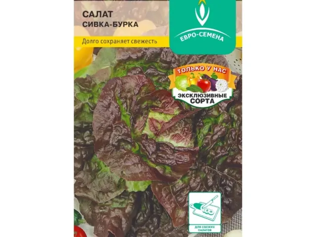 Сівка-Бурка