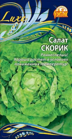 Seed packet of lettuce SKORIK with head image
