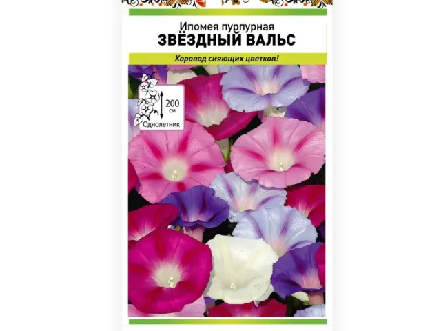 Школьный Вальс