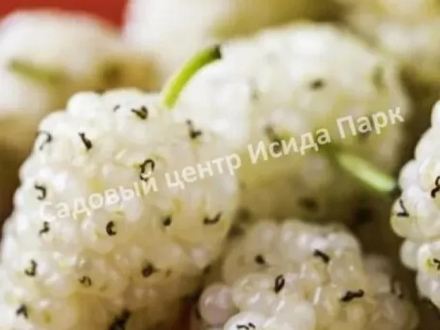 Радость