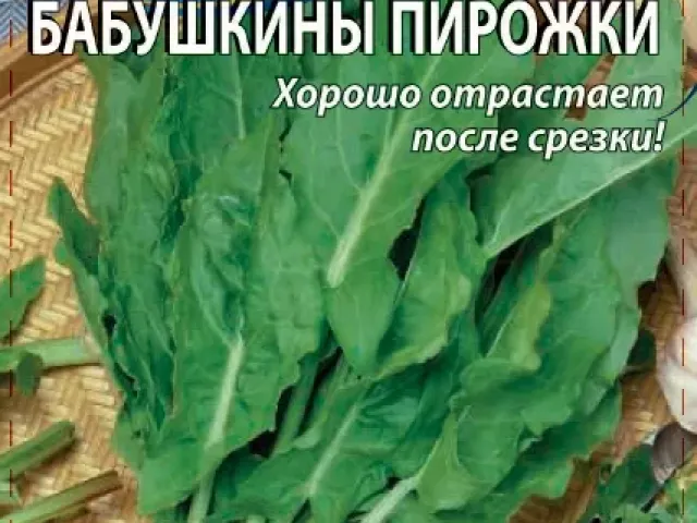 BABUSHKINY PIROZHKI