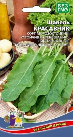 Пакет семян щавеля Красавчик с изображением листьев и овощей