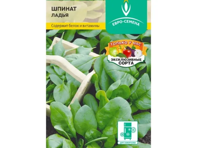 Ладья