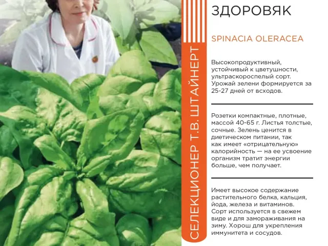 Здоровяк
