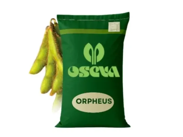 Orpheus