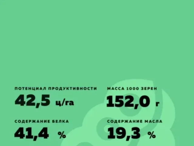 РАТ С 03