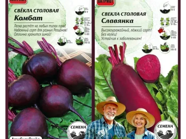 Комбат
