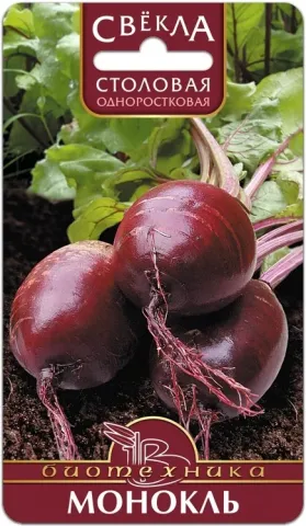 Seed packet of table beet Korall