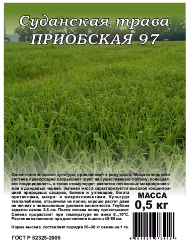 Пакет насіння Суданська трава ПРИОБСКАЯ 97 - ПРИОБСЬКА 97