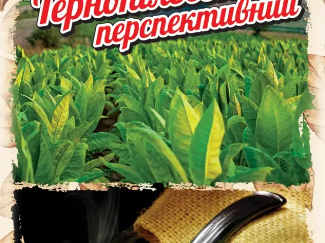 Тернопильский перспективний