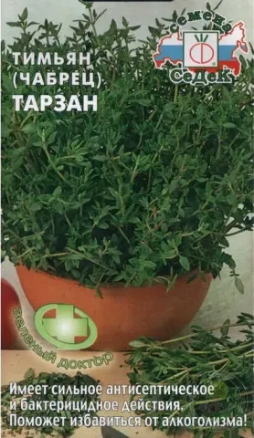 Seed packet of thyme (marjoram) Tarzan with image of plant in pot