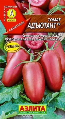 Seed packet of tomato ADJUTANT with image of red fruits