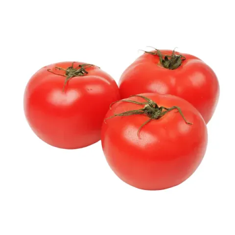Three red tomatoes on a white background - ALBRICE
