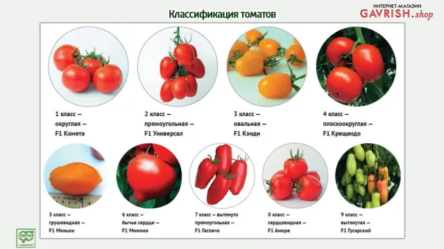 Азимут