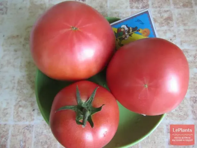 Банзай