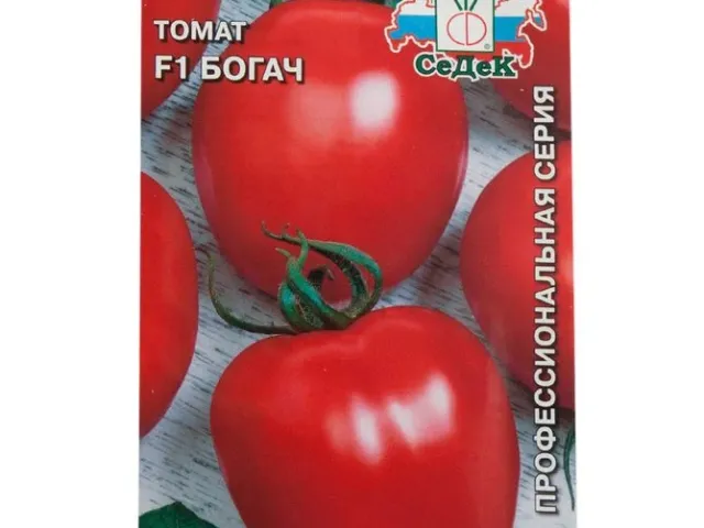 Богач