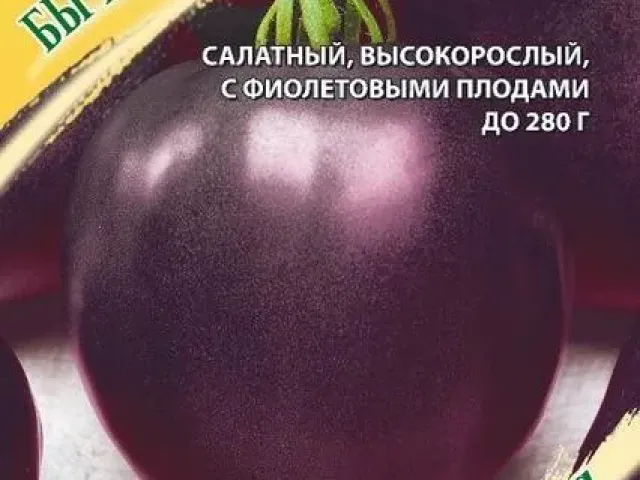 BEEF HEART PURPLE
