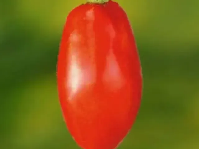 Даренка