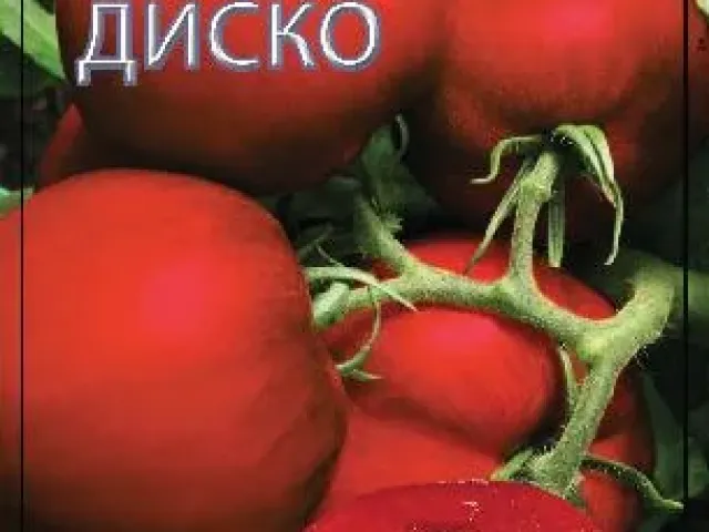 Диско