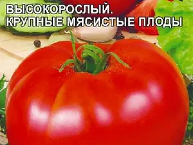 Dobryak