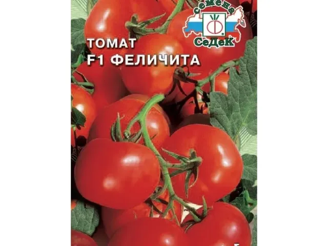 Феличита