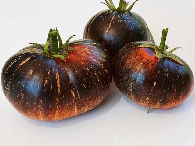 Galaktika